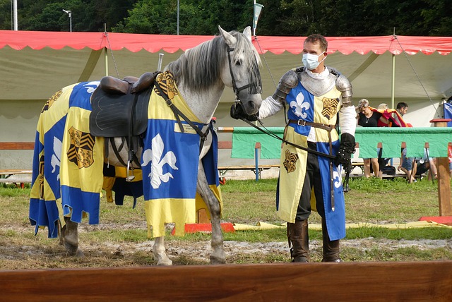 体与内心都 体与内心都