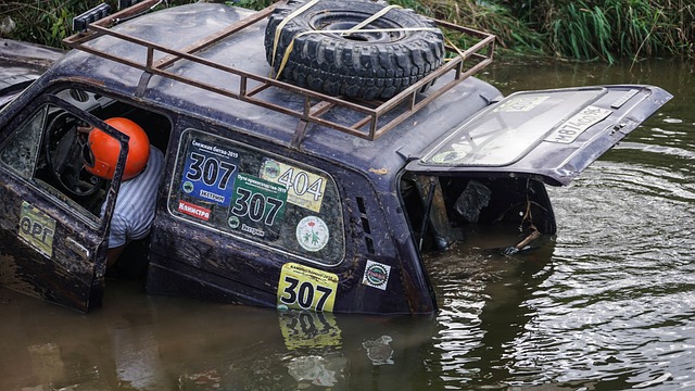 者的认可 者的认可